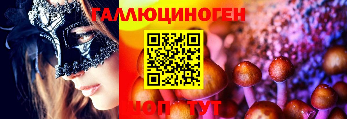 Галлюциногенные грибы Magic Shrooms Будённовск