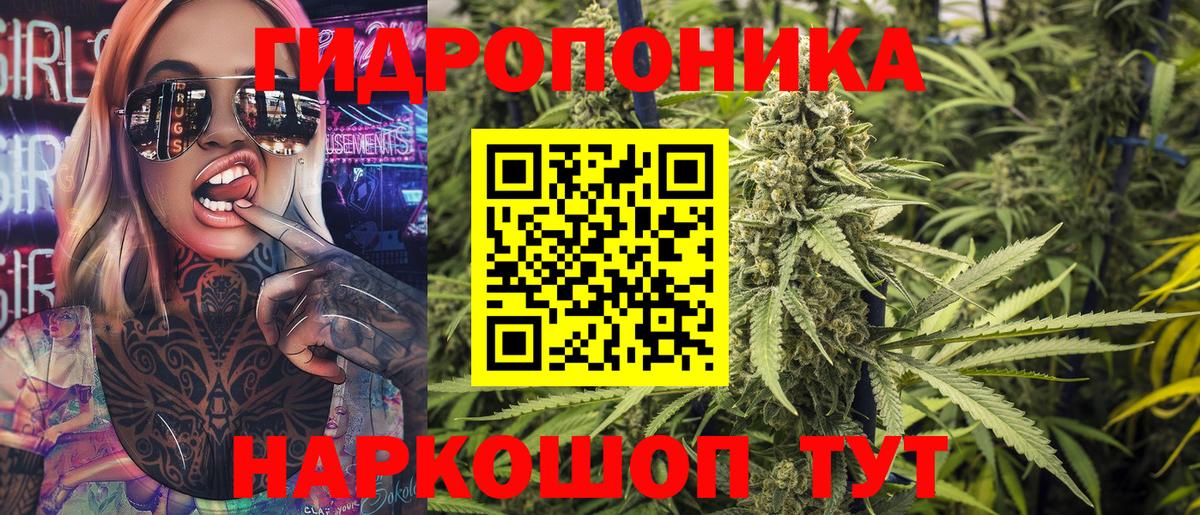 Бошки марихуана ГИДРОПОН Будённовск